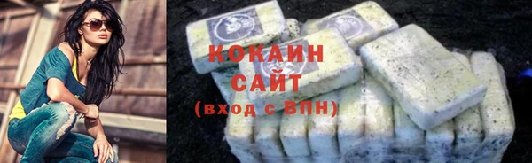 индика Заволжье