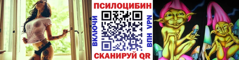 дарк нет официальный сайт  Каневская  Псилоцибиновые грибы мицелий  наркошоп 